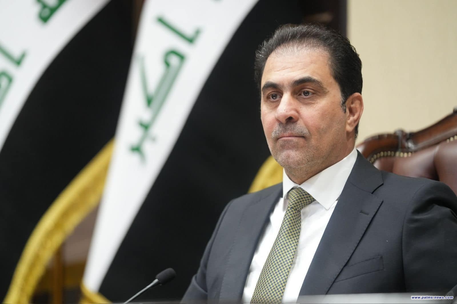 المندلاوي يطالب بتحرك دولي لوقف الإبادة الجماعية في غزة